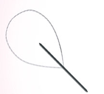 Aptos Needle 2G