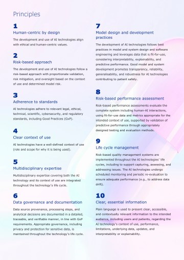 AI 10 Principles grafika