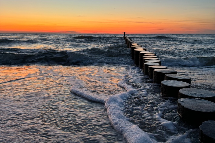 Longevity Weronika Prusisz Fot Katarzyna Klimont